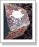 Etched Rock Turtle