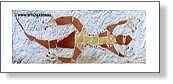 Cement Lizard Mosaic
