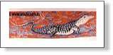 Goanna Fuel Tanker