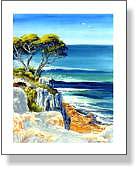 Shelly Beach Cliff View
