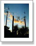 3 Birds On Posts Sunset