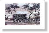 Bencubbin Sandalwood Mural